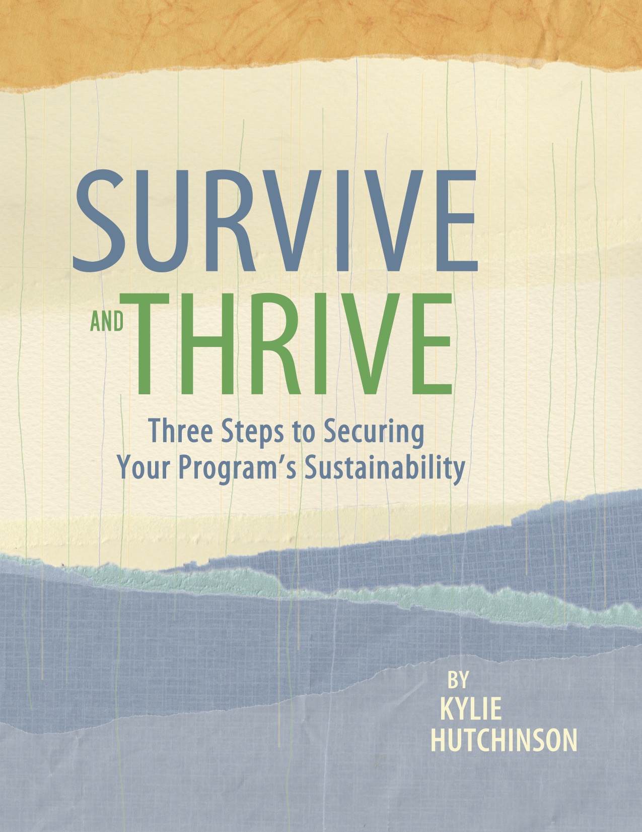 program sustainability guide